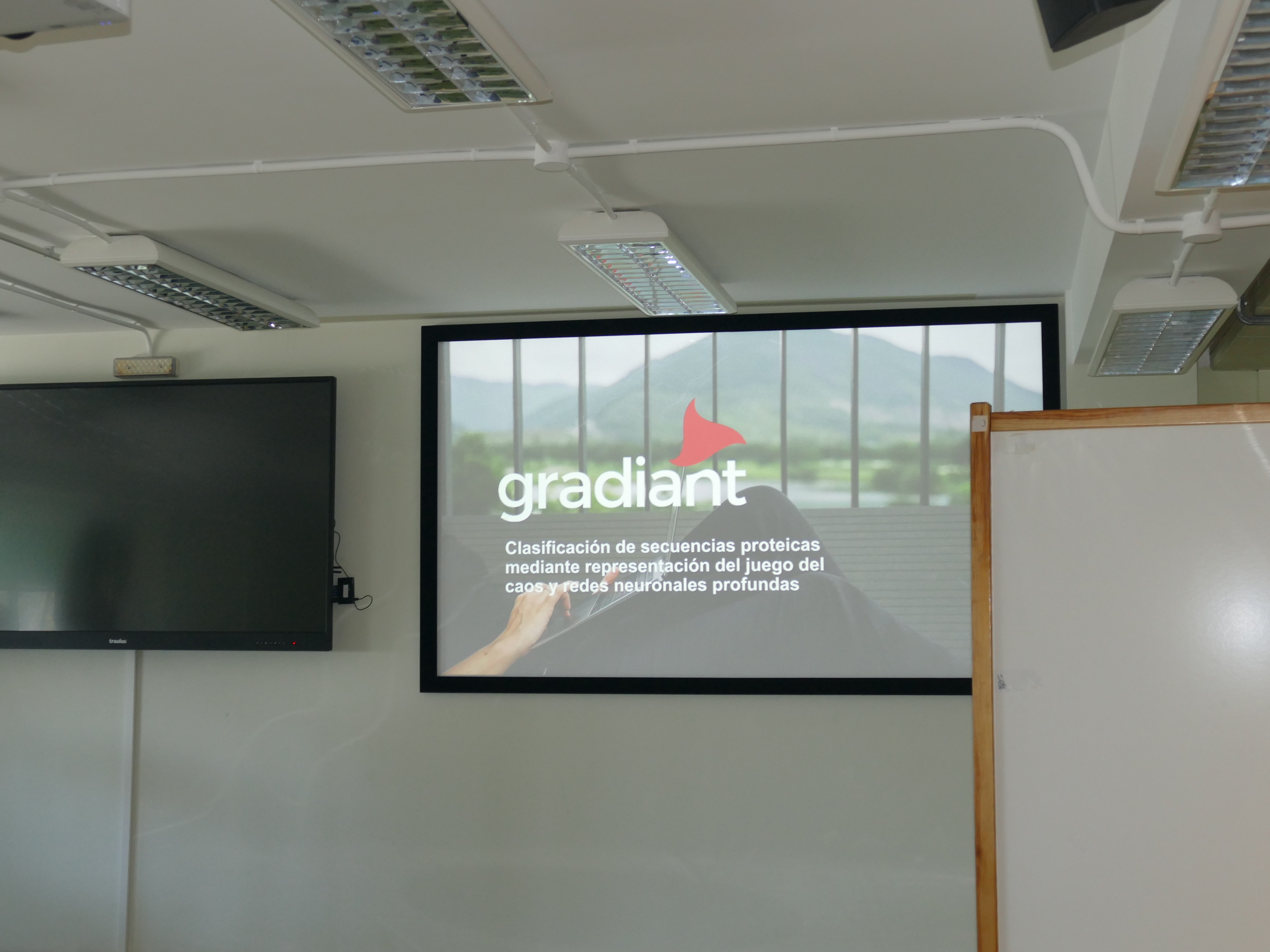 MiéRcoles 23/Taller Gradiant