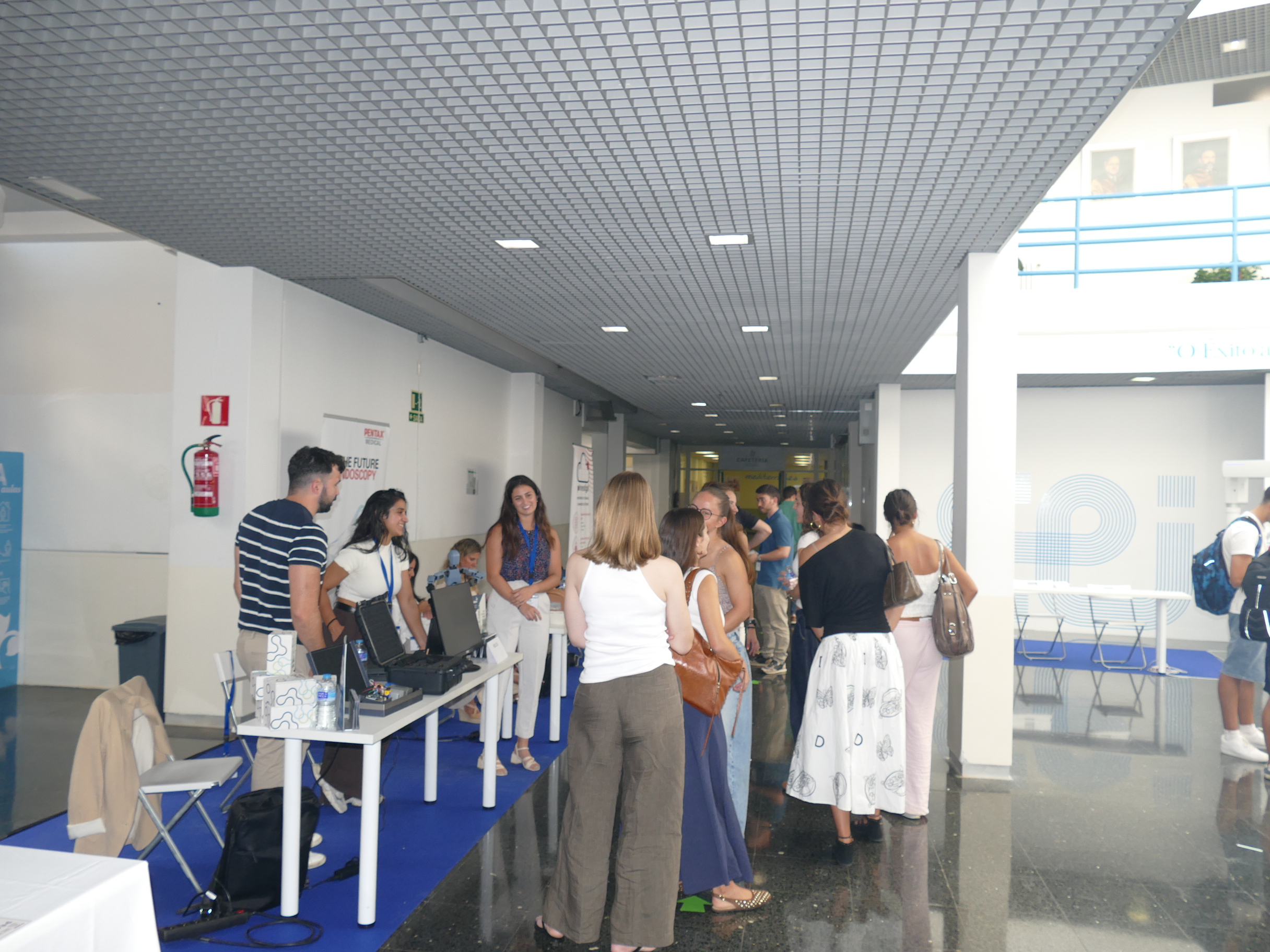 Stands